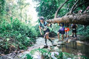 BIB: 
                            <button type="button" onclick="openModal(25436874)" class="btn btn-primary btn-sm float-right btn-popup" data-toggle="modal" data-target=".modal-high-quality">
                        <i class="fas fa-shopping-cart"></i> Add to Cart
                    </button>
                                            <button type="button" onclick="isThisMe(25436874, true)" class="btn btn-success btn-sm float-right btn-popup btn-isme hidden" data-toggle="tooltip" data-placement="bottom" title="นี่คือรูปของคุณใช่ไหม คลิกที่นี่เพื่อเอาเข้าอัลบั้ม">
                        <i class="fas fa-plus"></i> Add to album
                    </button>
                    <button type="button" onclick="isThisMe(25436874, false)" class="btn btn-warning btn-sm float-right btn-popup btn-isnotme hidden">
                        <i class="fas fa-ban"></i> Remove from album
                    </button>